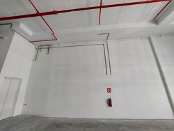 Ct Foodnex (D25), Factory #472596481